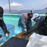 2019_03_23恵洋丸 | 釣りのWeb Pageです。